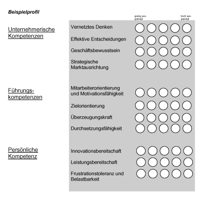 Managementdiagnostik - Potenzialanalyse