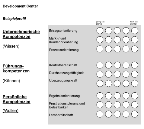 Potenzialanalyse - Development Center - Beispielprofil